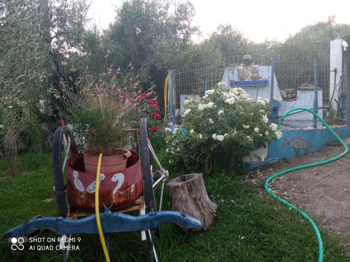 Apartmán Bella-Caza Mákri Exteriér fotografie